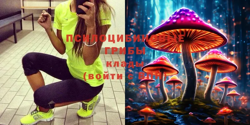 omg как зайти  Заволжье  Псилоцибиновые грибы Cubensis 